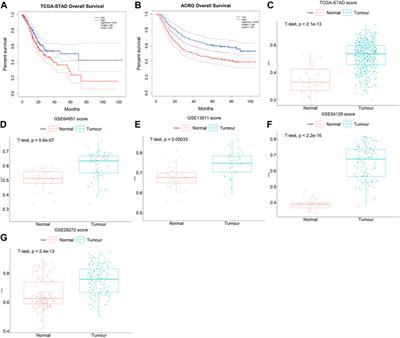 Identification and validation of critical genes with prognostic value in gastric cancer